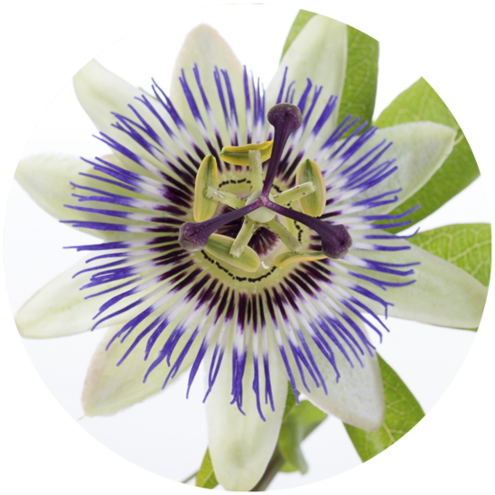 Passionflower and magnesium
