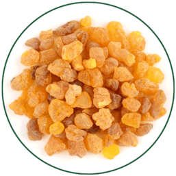 Boswellia