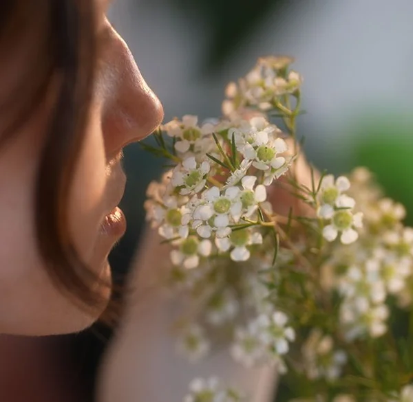 Cannabis products selection