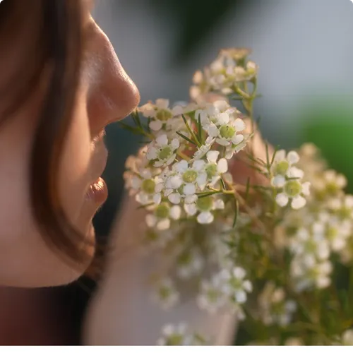 Wählen deine Produkte