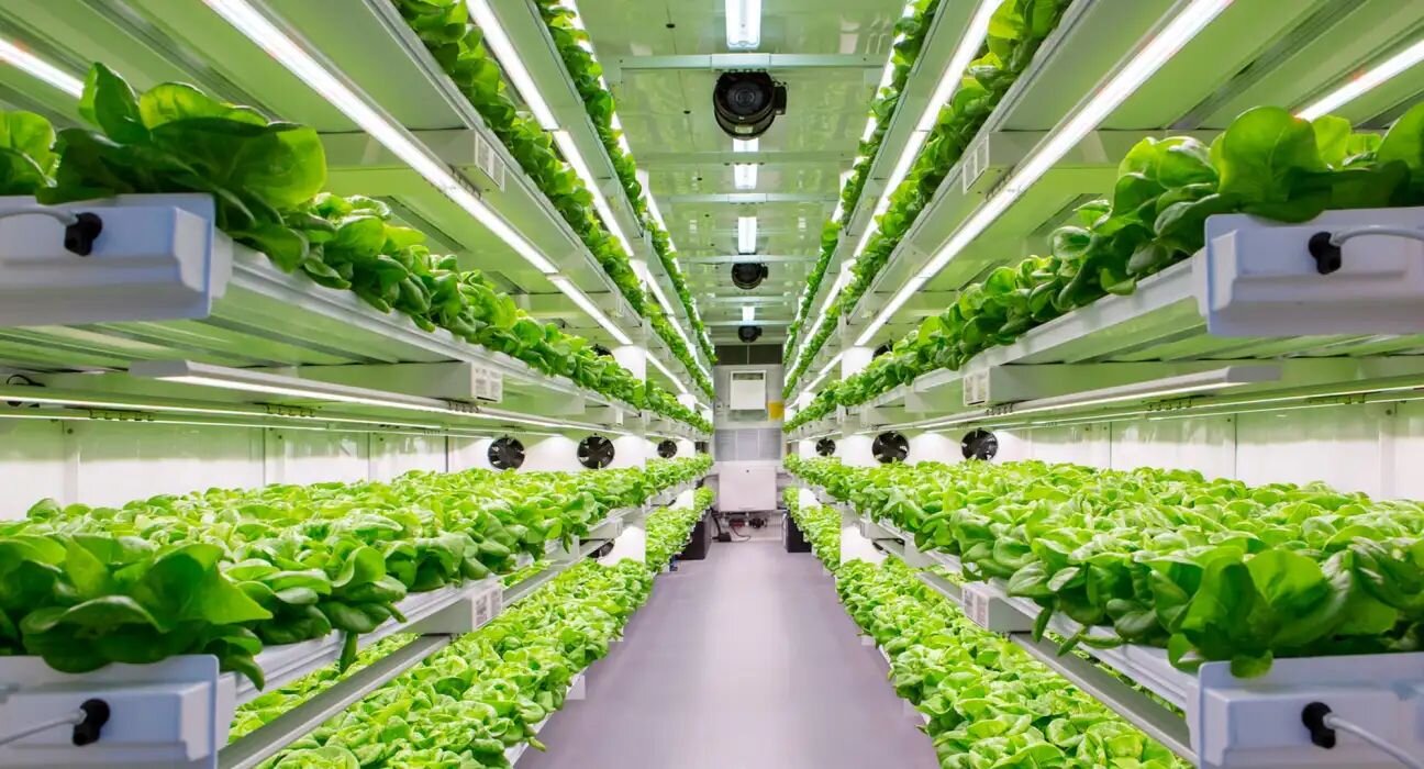 container farm business plan