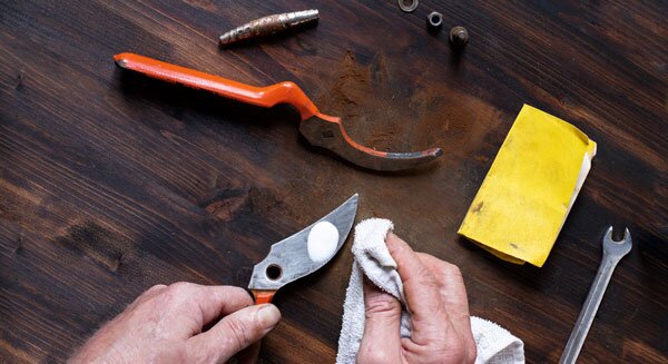 clean pruner