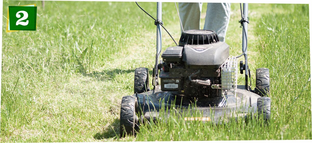 mowing the lawn