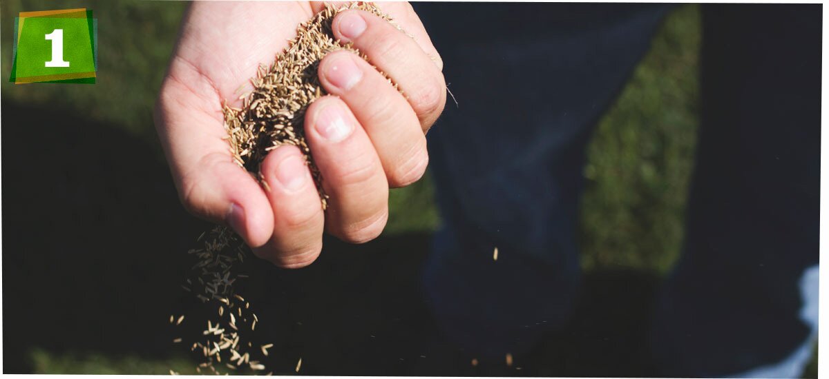 holding grass seed