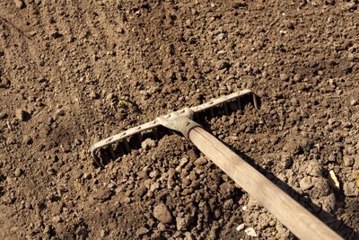 rake