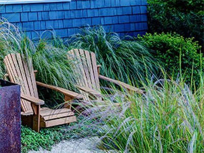 xeriscape