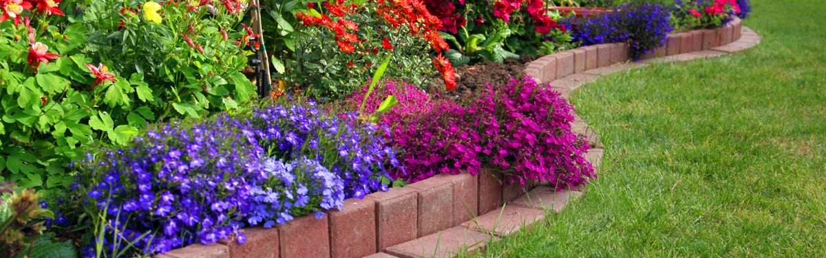 flowers with landscaping