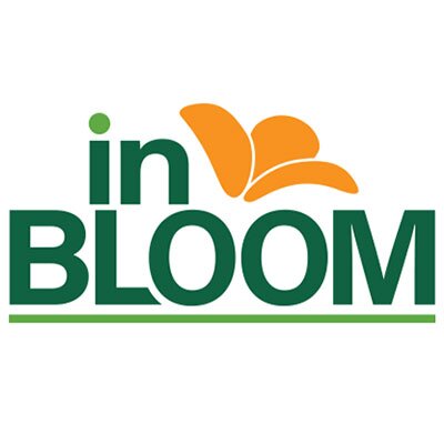 in bloom