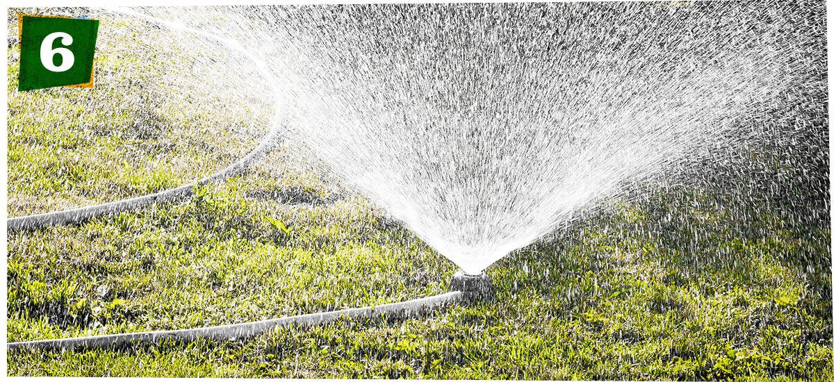 sprinkler