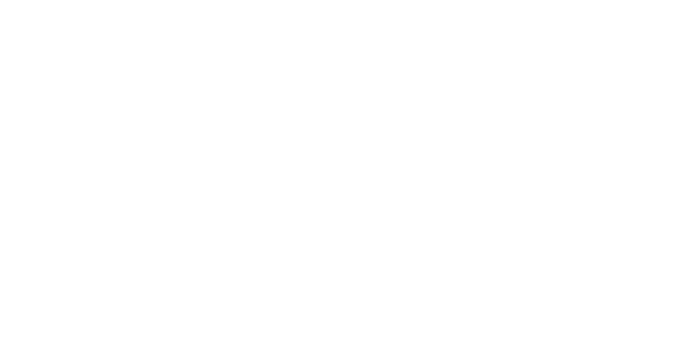 SEI Novus Logo