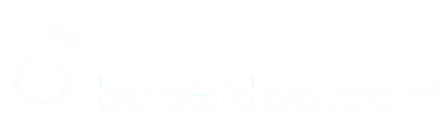 boberdoo Logo