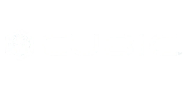 Cubic Transportation Systems Logo