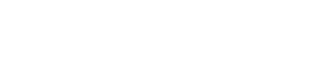 IdenX Logo