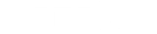 IdenX Logo