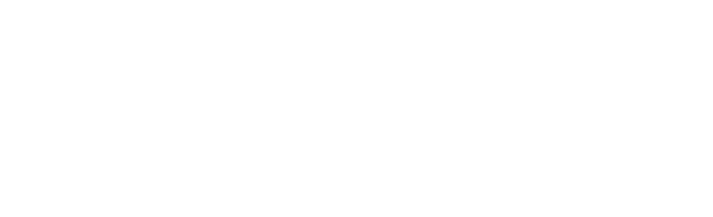 ValyantAI Logo
