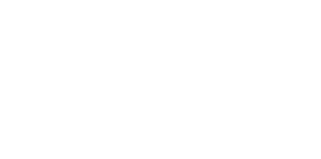 Daylight Transport Logo