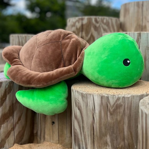 Toby the Turtle Plush
