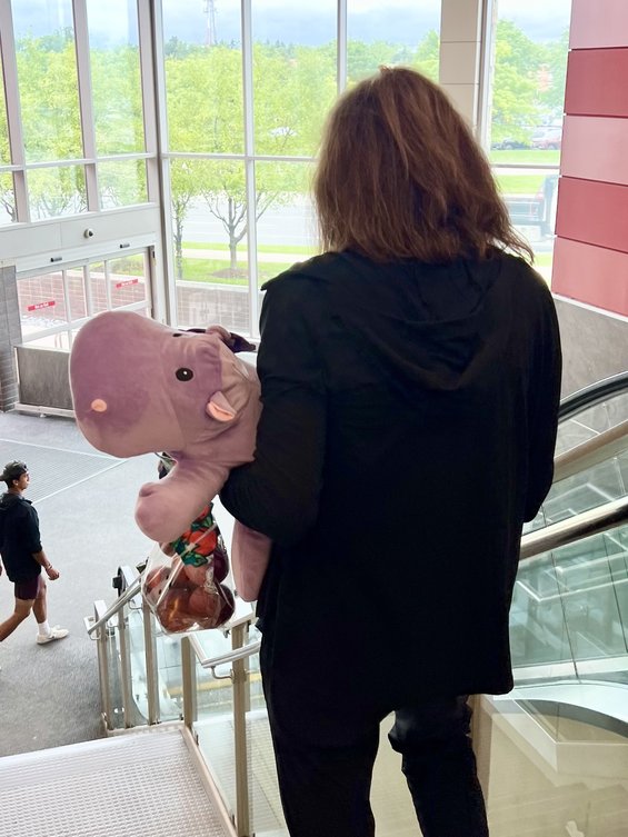 Woman carries Ernie the Hippo down the elevator after purchasing at her local Target