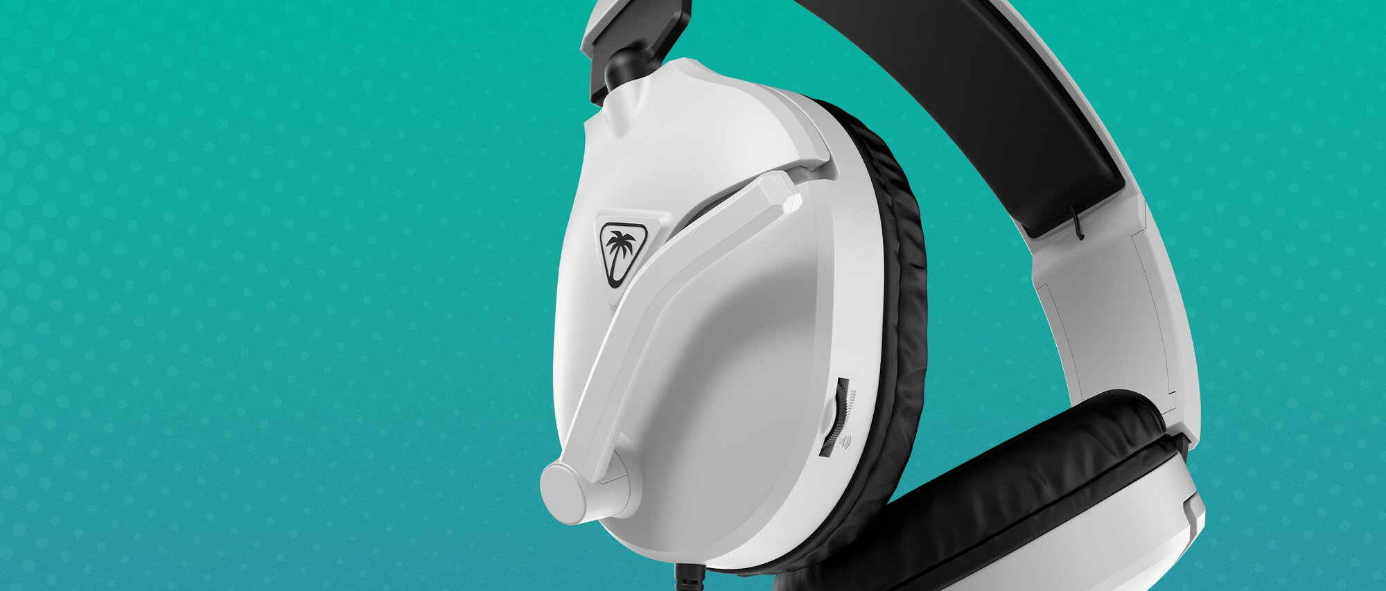 Turtle Beach