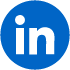 LinkedIn Bug