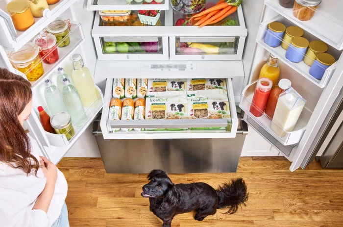 A black dog standing in front of a fridge filled with Freshpet recipes.