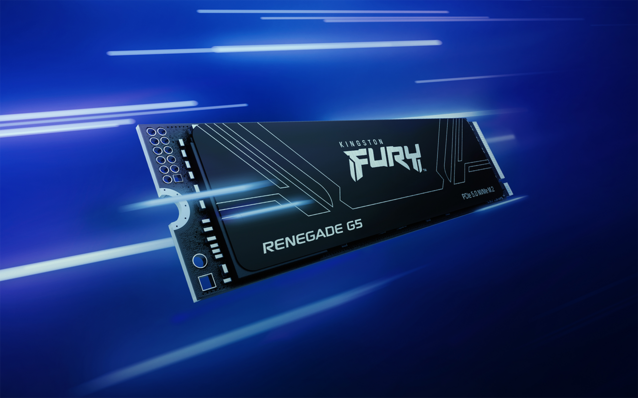 Blazing Fast SSD Storage