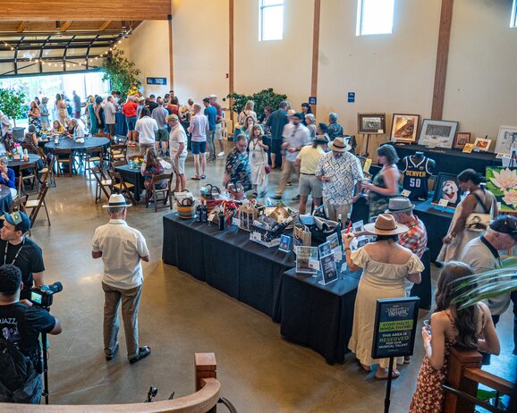 Live at the Vineyards 2025 auction items