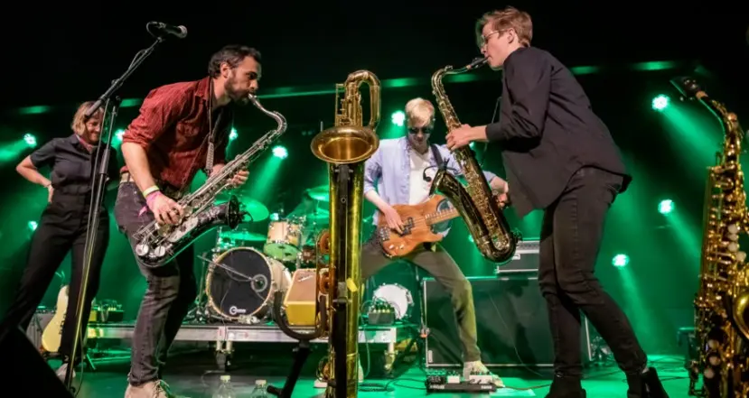 A poster for Cactus Cat  event