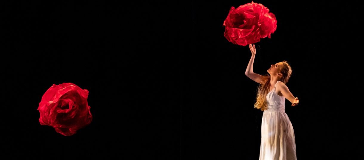 A poster for MOMIX - Alice event