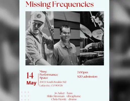 A poster for Missing Frequencies event