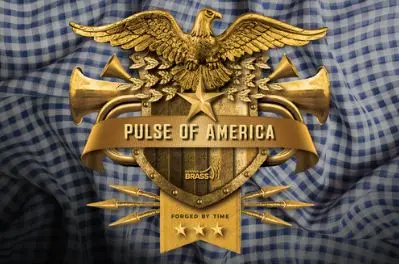A poster for Pulse of America event
