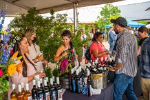 Wine tasting at Live at the Vineyards