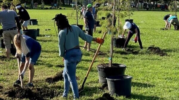 A poster for Can YOU Dig It? KUVO's 40th Anniversary Tree Celebration - Volunteers Needed event