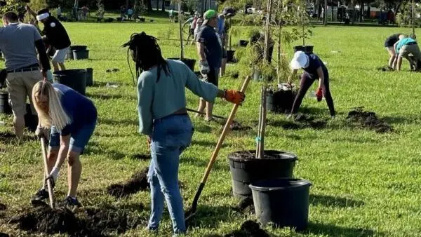 A poster for Can YOU Dig It? KUVO's 40th Anniversary Tree Celebration - Volunteers Needed event
