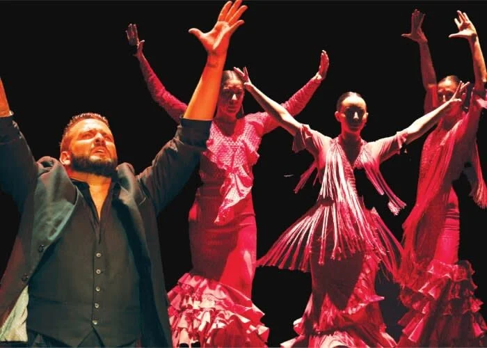 A poster for Flamenco Denver presents RAICES event