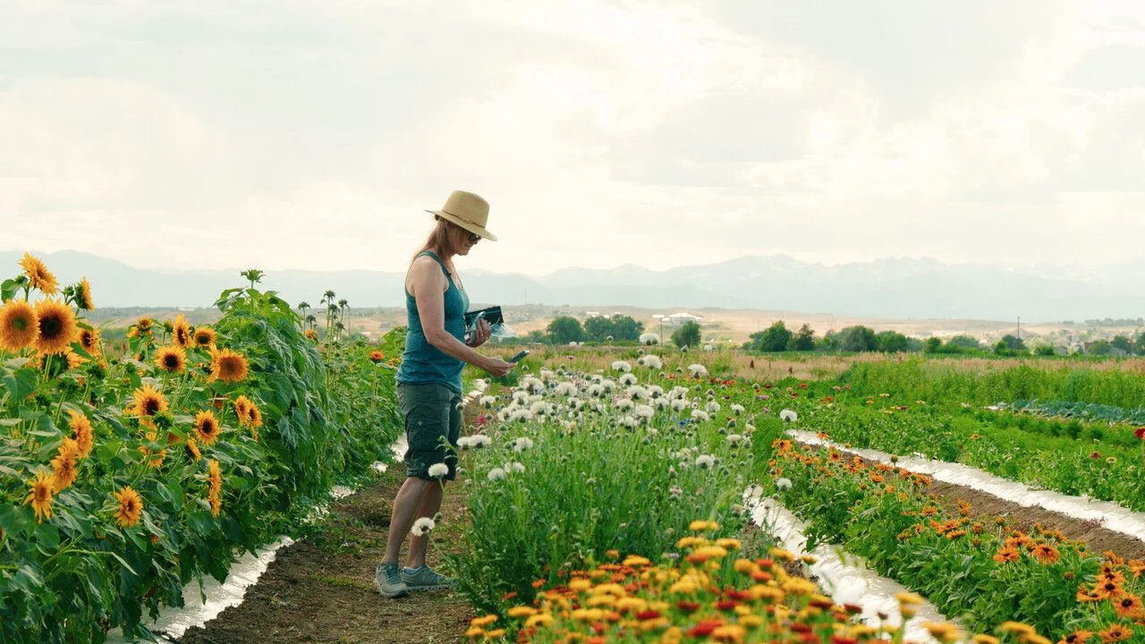 Melody Epperson at Berry Patch Farms - Photo credit: Cormac McCrimmon