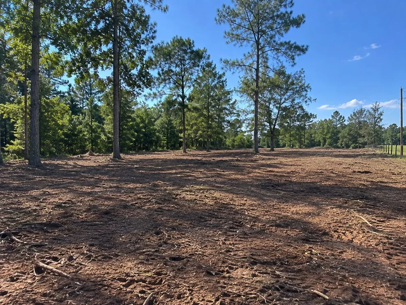 After: cleared and managed land
