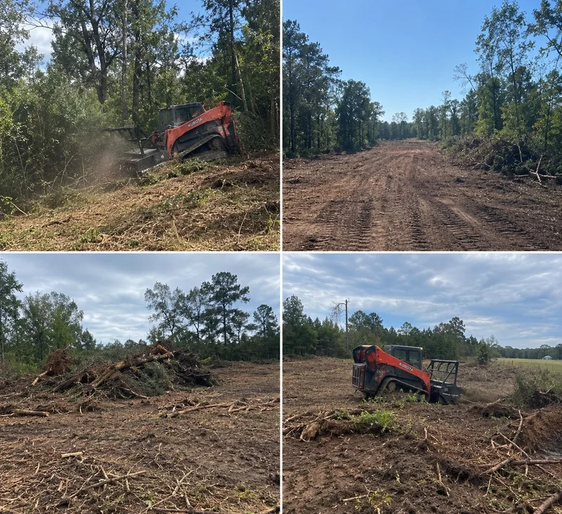 Freshly cleared land with a forestry mulcher