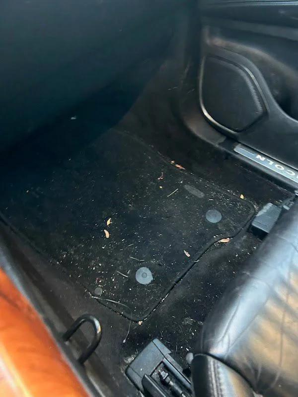 Undercarriage Cleaning