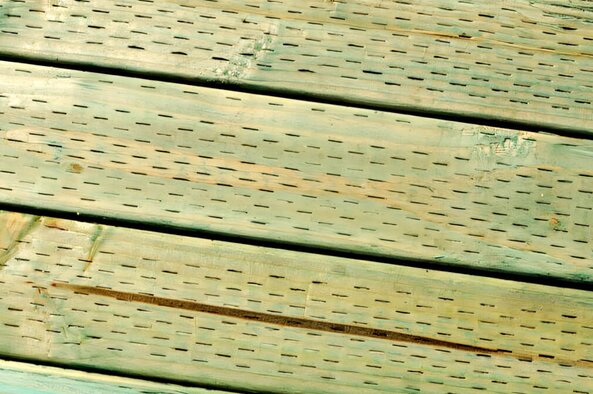 Pressure treated lumber