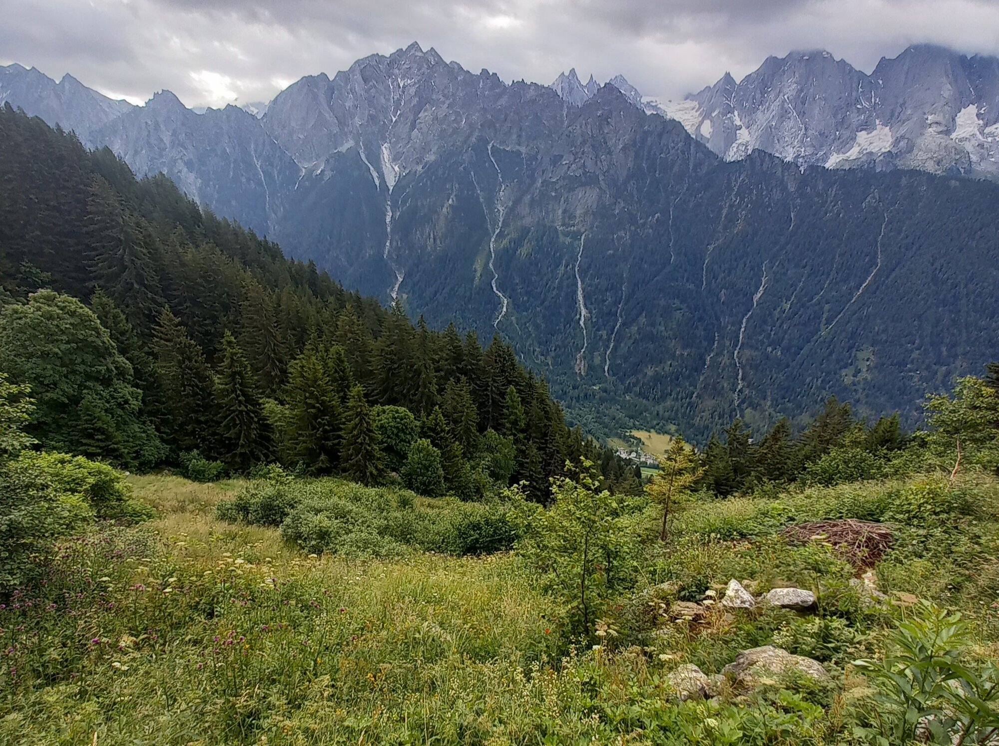 Enter your caption here...