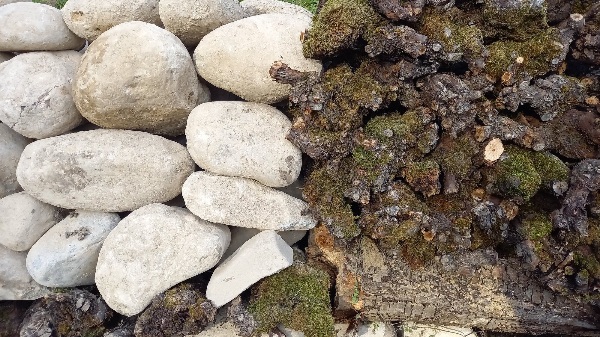 Biodiversitätsförderung