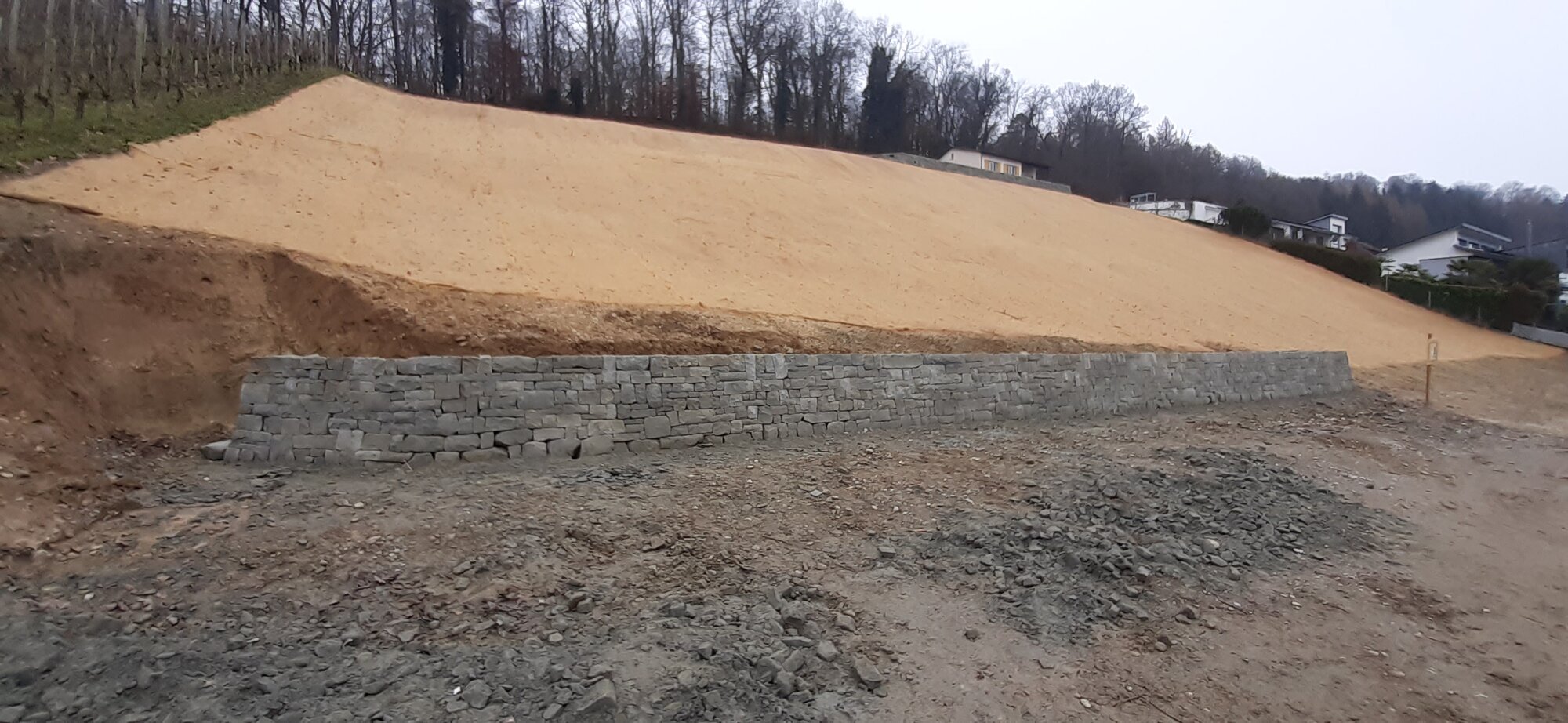 Enter your caption here...