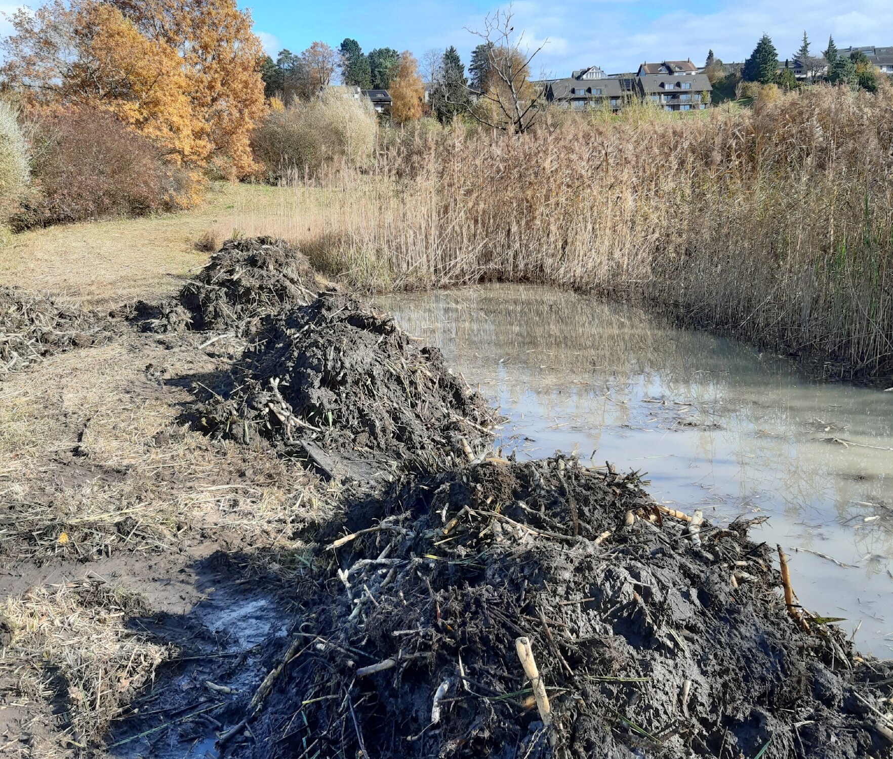 Grabenunterhalt / Teichpflege
