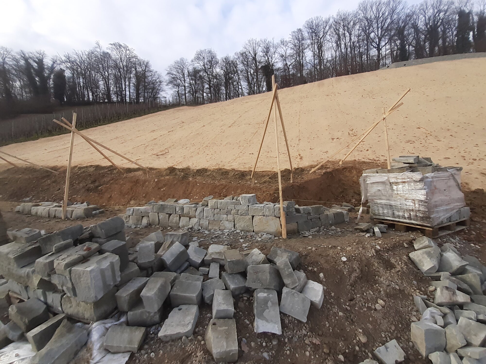 Enter your caption here...