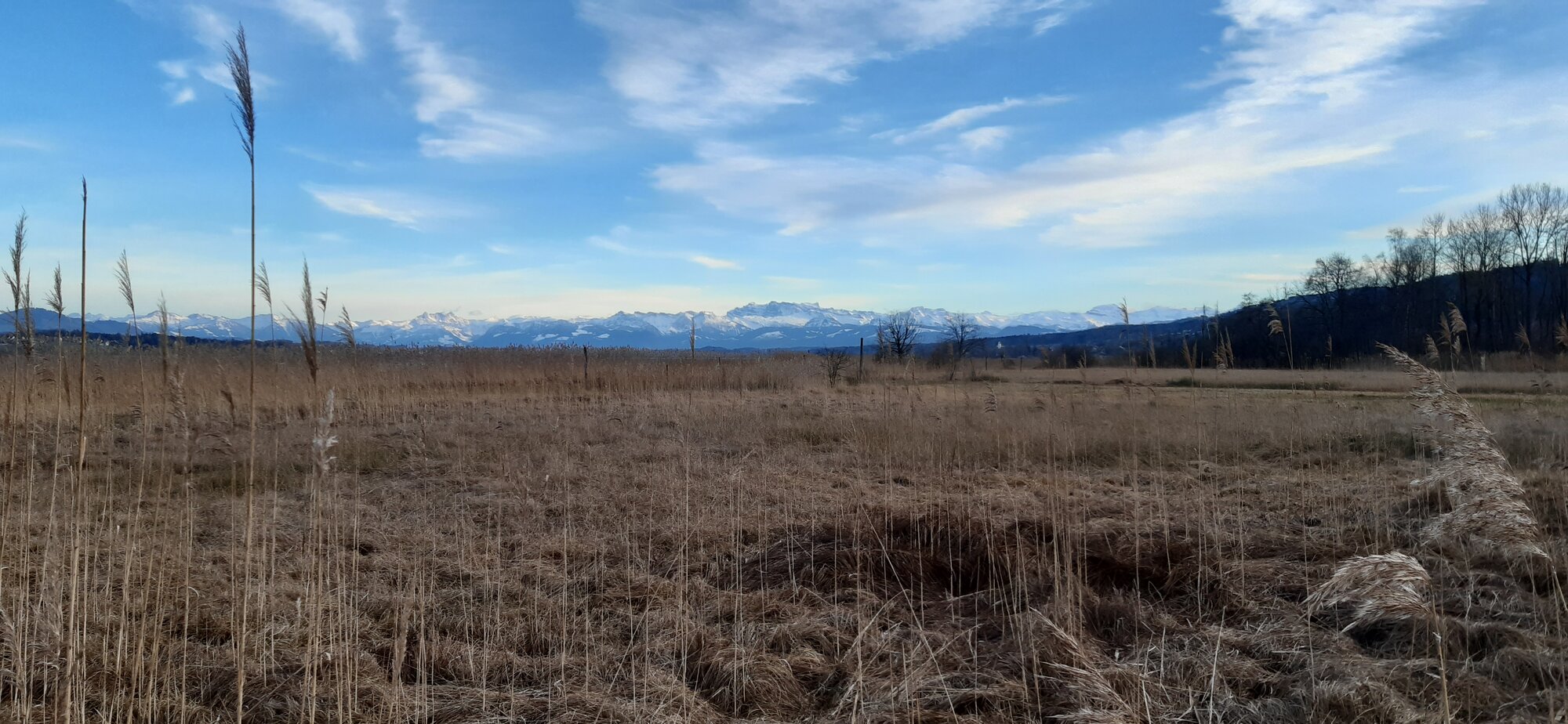 Enter your caption here...