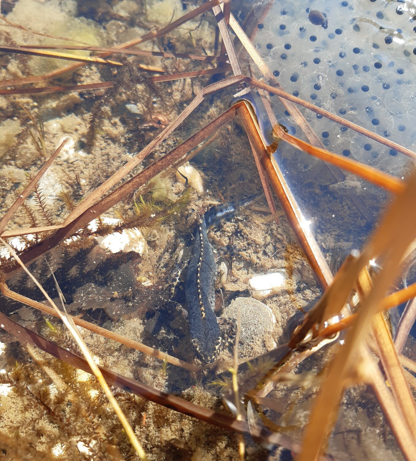 Enter your caption here...