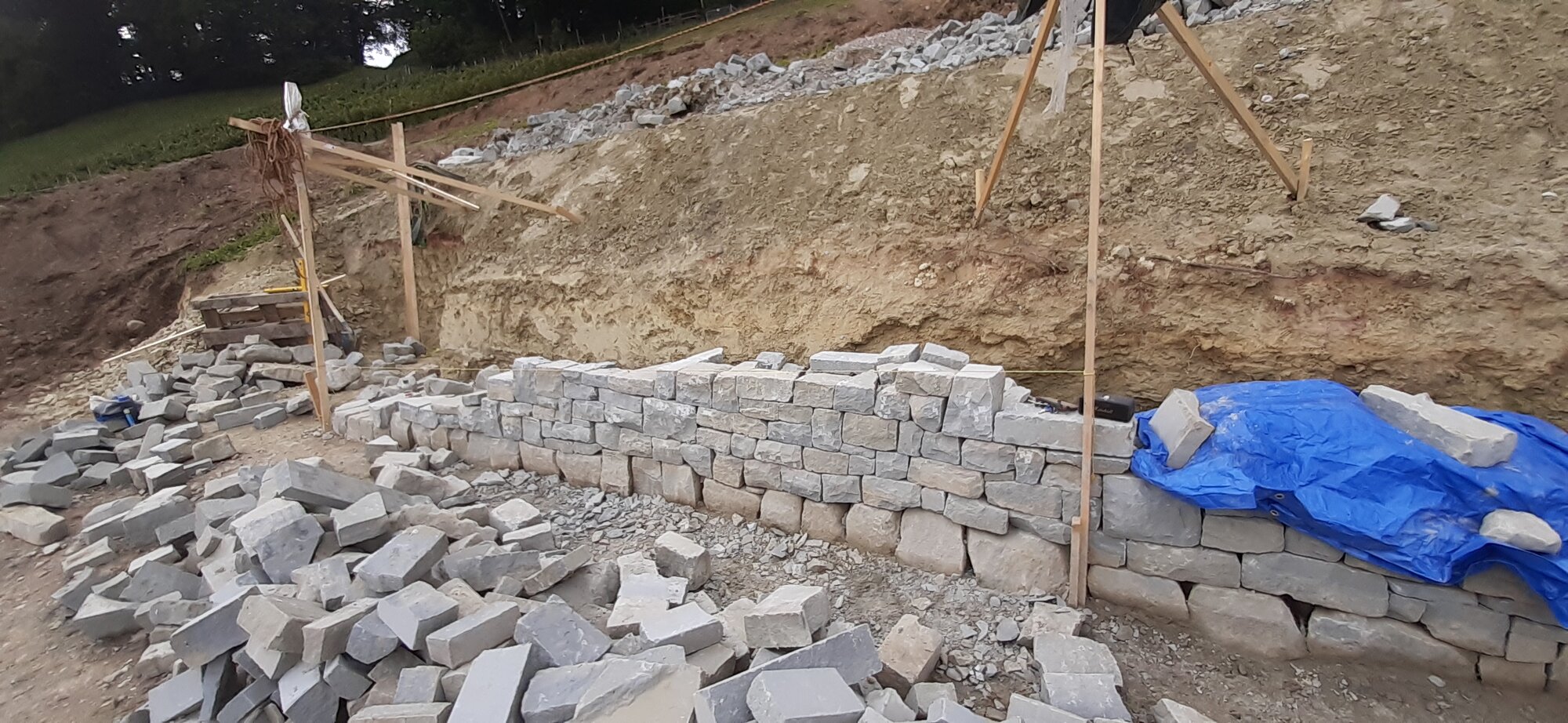 Enter your caption here...