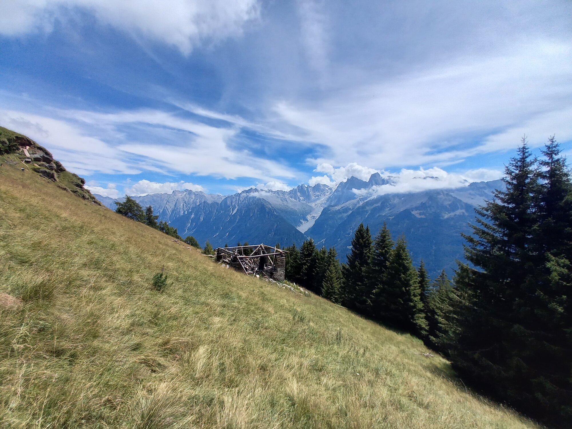 Enter your caption here...