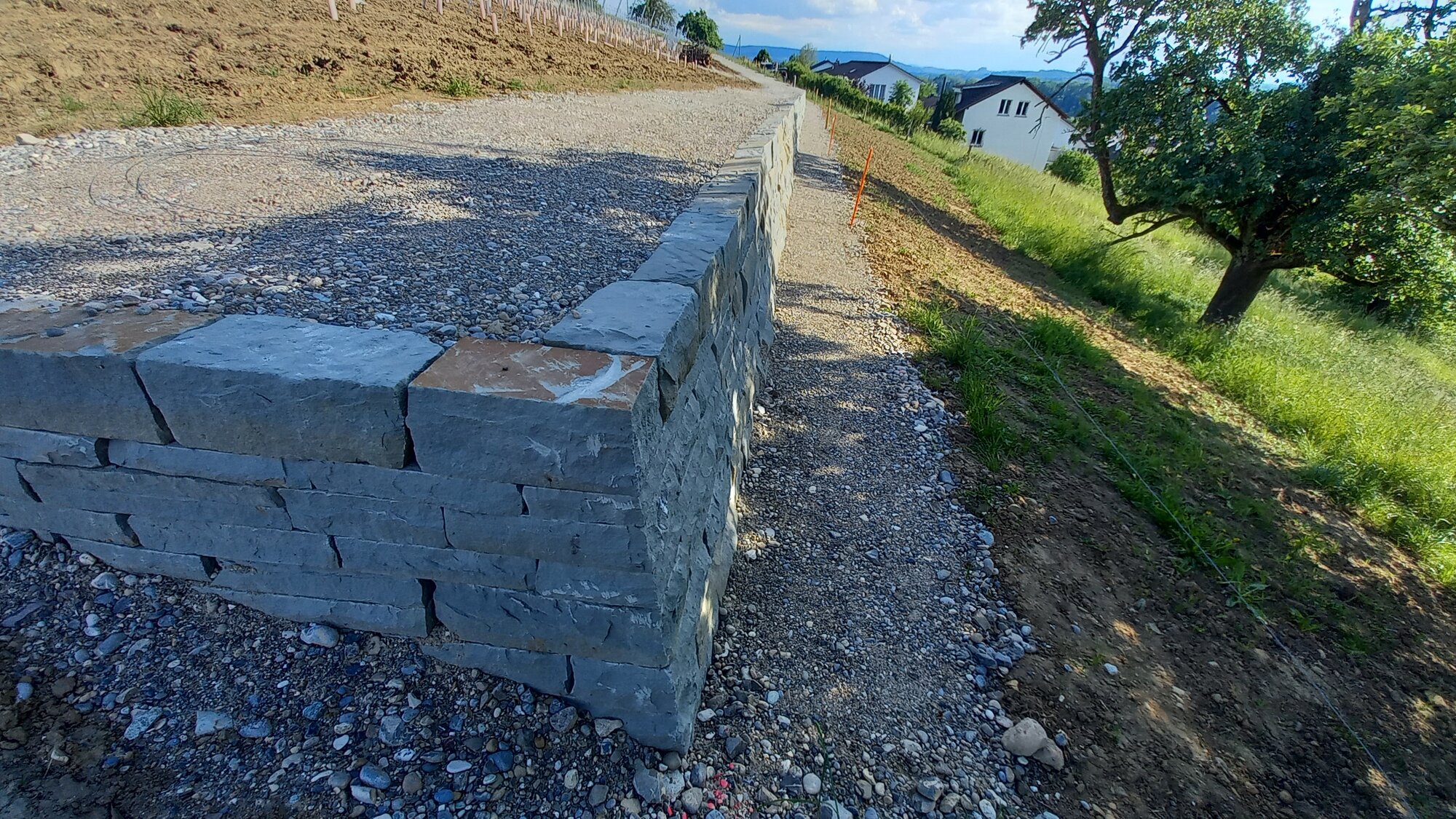 Enter your caption here...